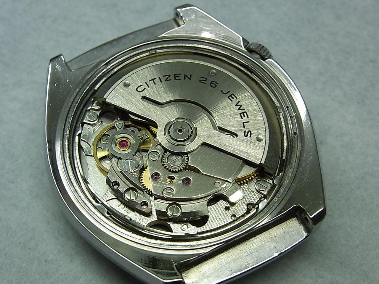 CITIZEN Leopard 8 - Arbitro